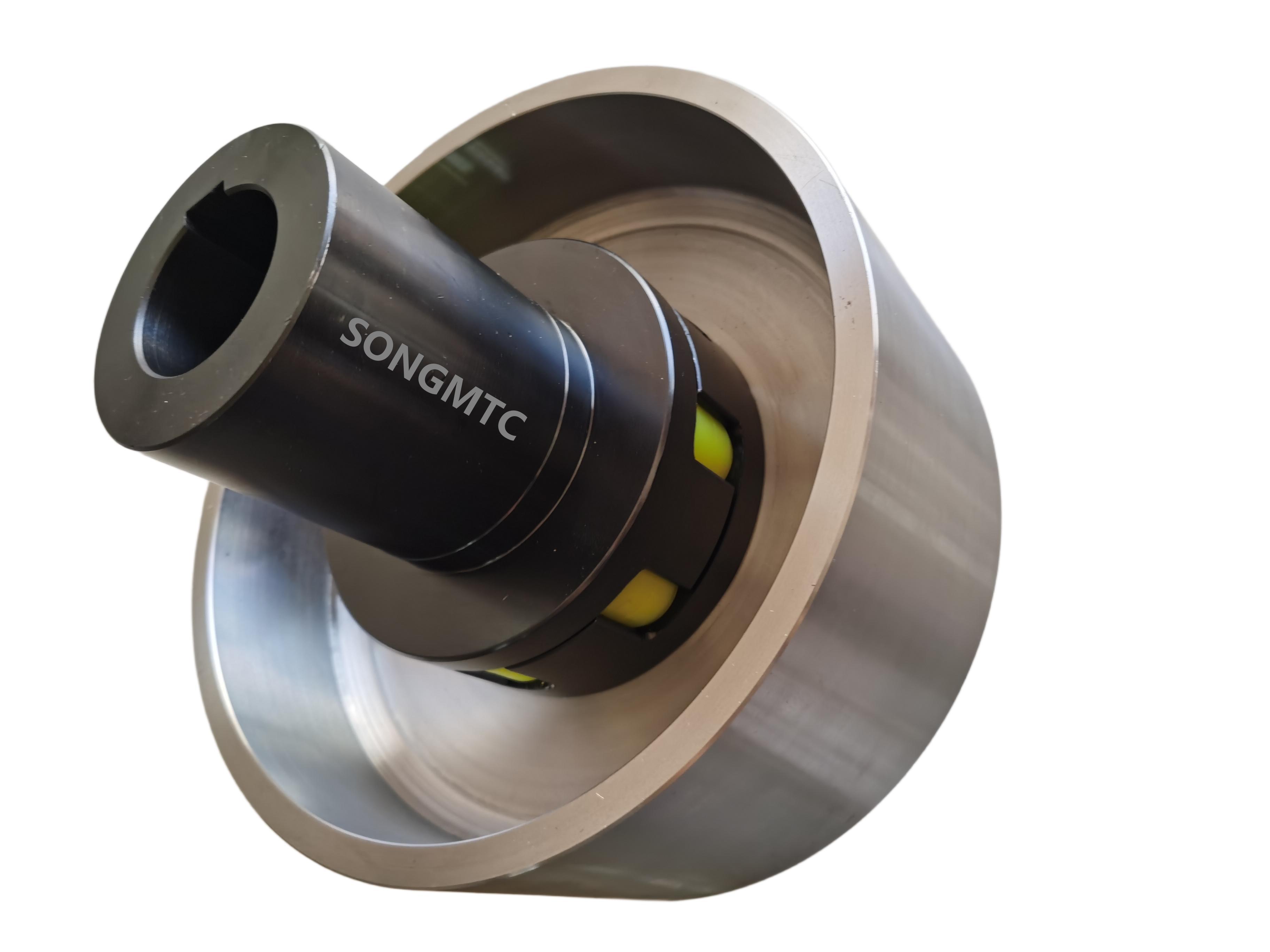 LMZ Flexible Jaw coupling with elastic spider